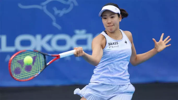 Nao Hibino Net Worth