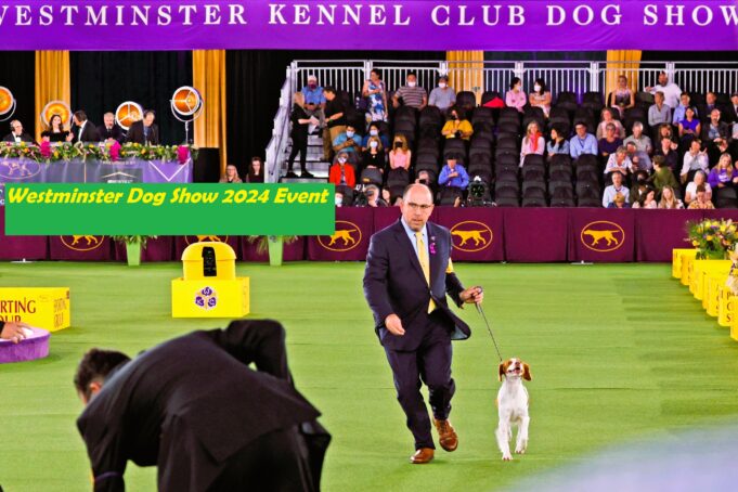 Westminster Dog Show 2024: Tickets, Price And Event, Date, Times