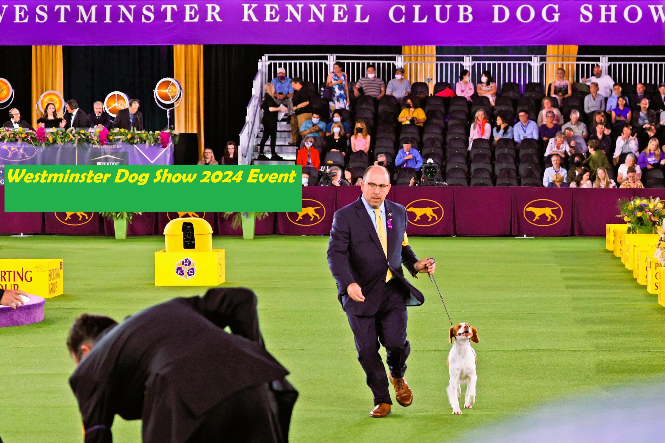 Westminster Dog Show 2024 Tickets, Price, Event, Date, Time