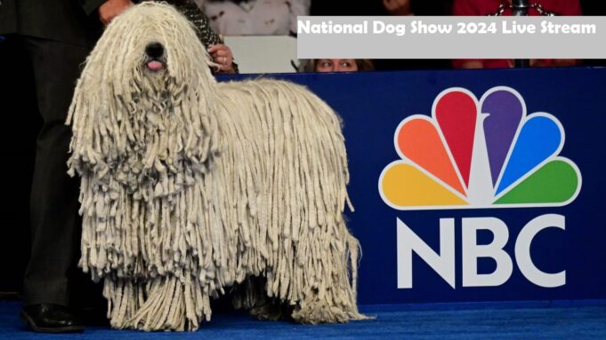 National Dog Show 2024 Livestream